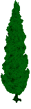 Image of A Mutated Holiday Tree Created To Promote Good Behavior All Year Long