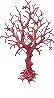 Image of Cherry Tree Sapling Covered With Spider Web