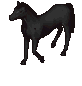 Image of A Perfect Replica Of A Wild Nightmare