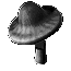 Image of Very Weird And Fascinating Mushrooms