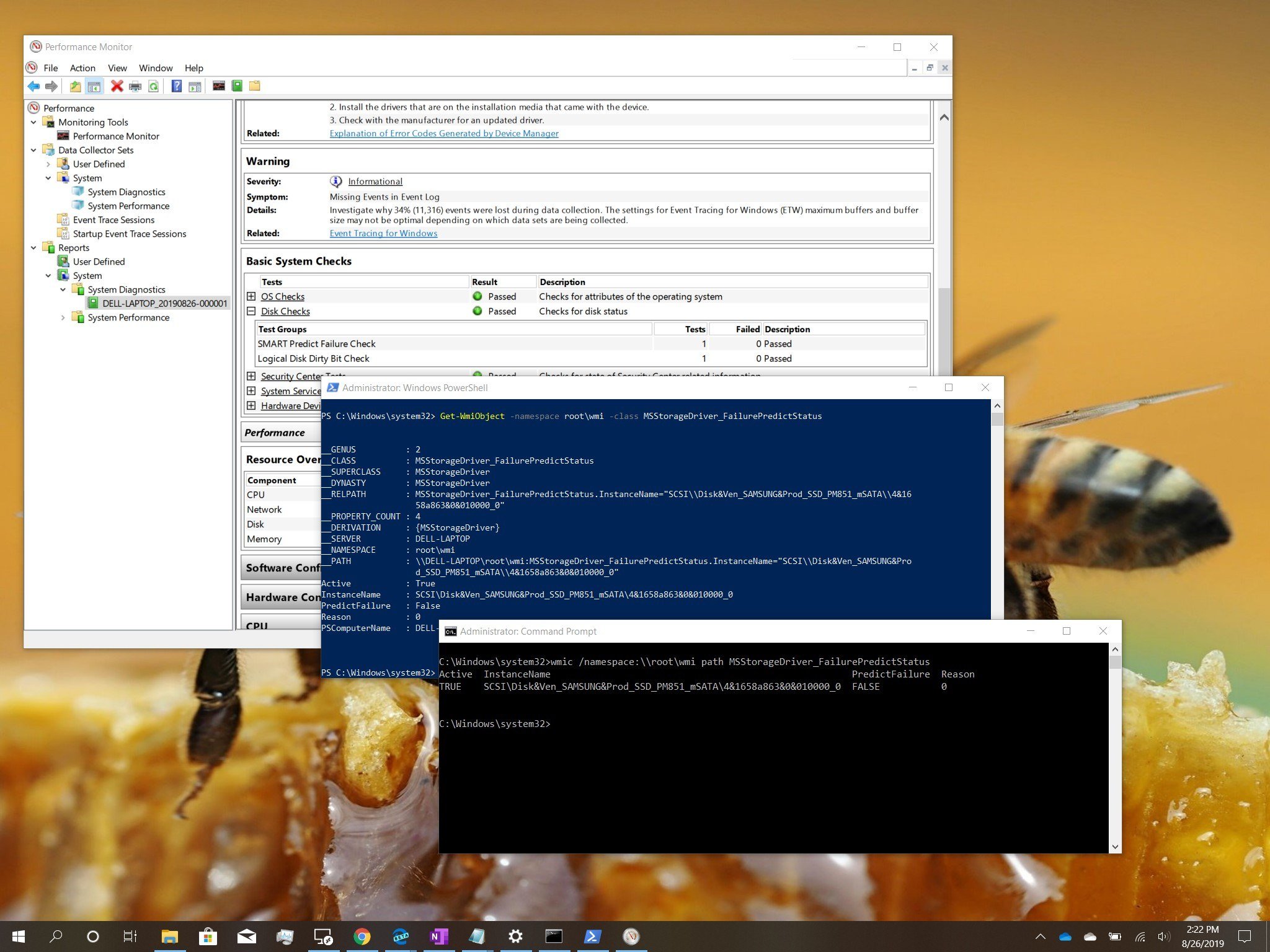 www.windowscentral.com