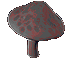 Image of A Rotten Mushroom From The Spring Spawn