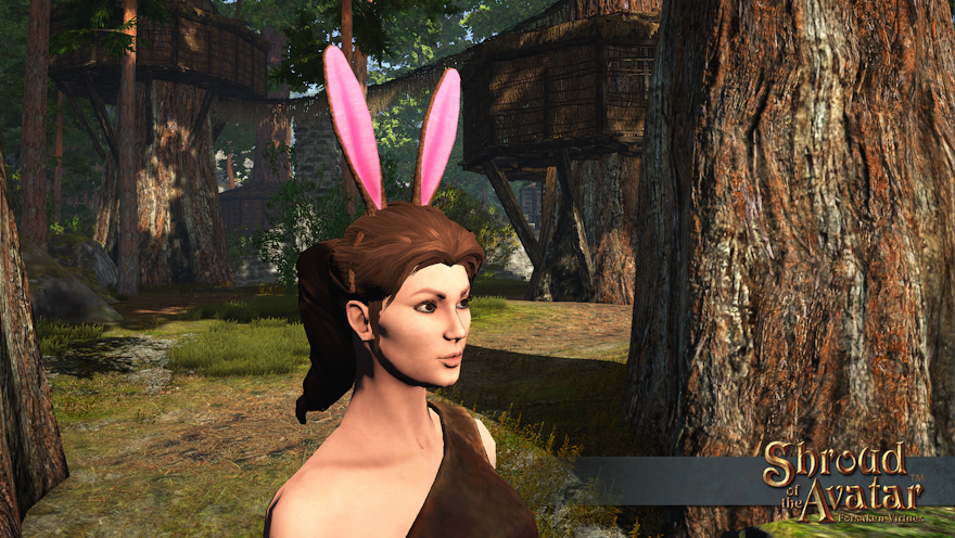 A pair of brown bunny ears being worn by a bunny clan barbarian standing in a forest