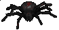 Image of Red-Back Widow Spider
